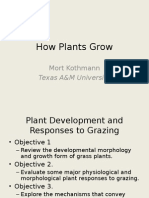 How Plants Grow: Mort Kothmann