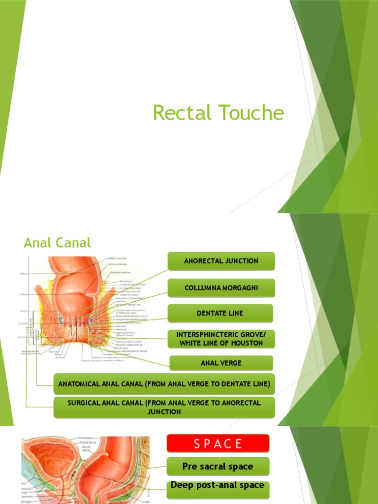 Tibbiy korik: anal va rektal tekshiruv