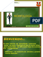 Morfología Ok