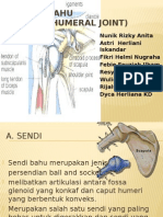 Sendi Bahu (Glenohumeral Joint) Kines Fix