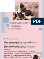 Neonatologia Canina