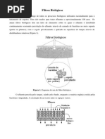 01_-_Filtros_Biologicos