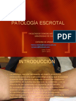 Tema 8 Patología Escrotal