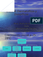 clase4dermatofitosydimorficos-091111105932-phpapp01