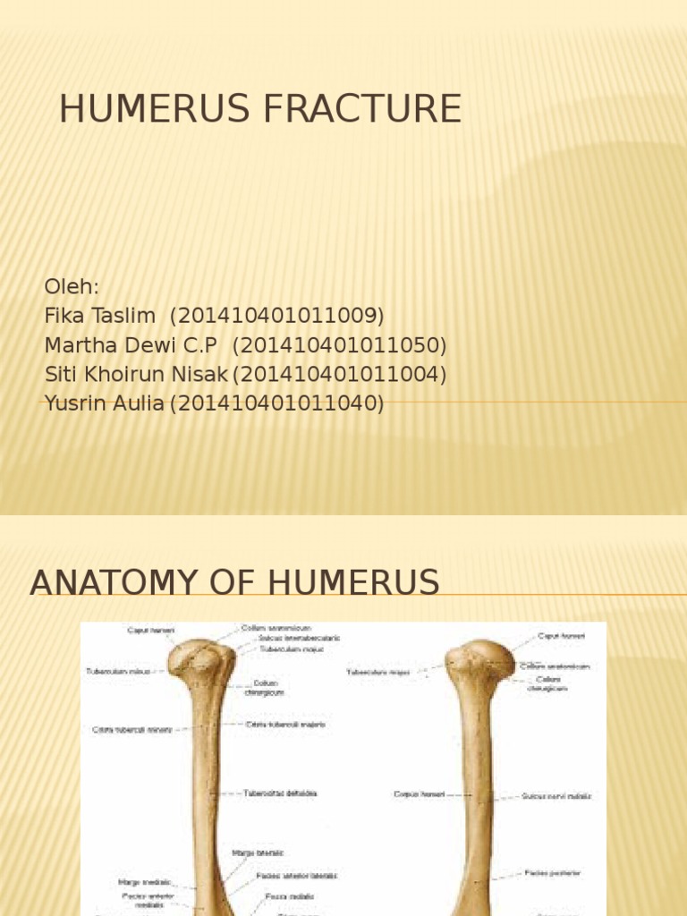 Supracondylar Humeral Fracture - Physiopedia