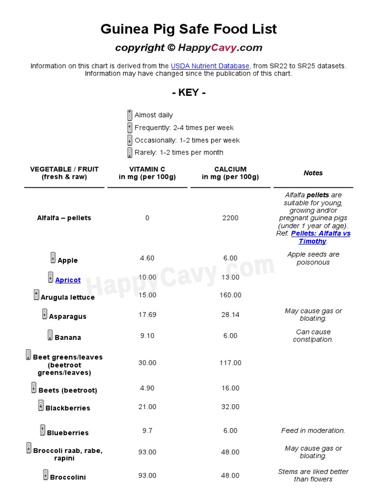 What Can I Feed My Guinea Pig The Guinea Pig Safe Food List _ the