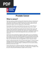Download Prostate Cancer Guide by jim912 SN260258632 doc pdf