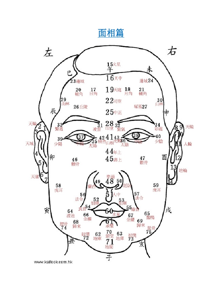 Face Reading