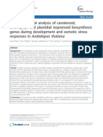 Meier - 2011 - A Transcriptional Analysis of Carotenoid Chlorophyll and Plastidial Isoprenoid Biosynhesis