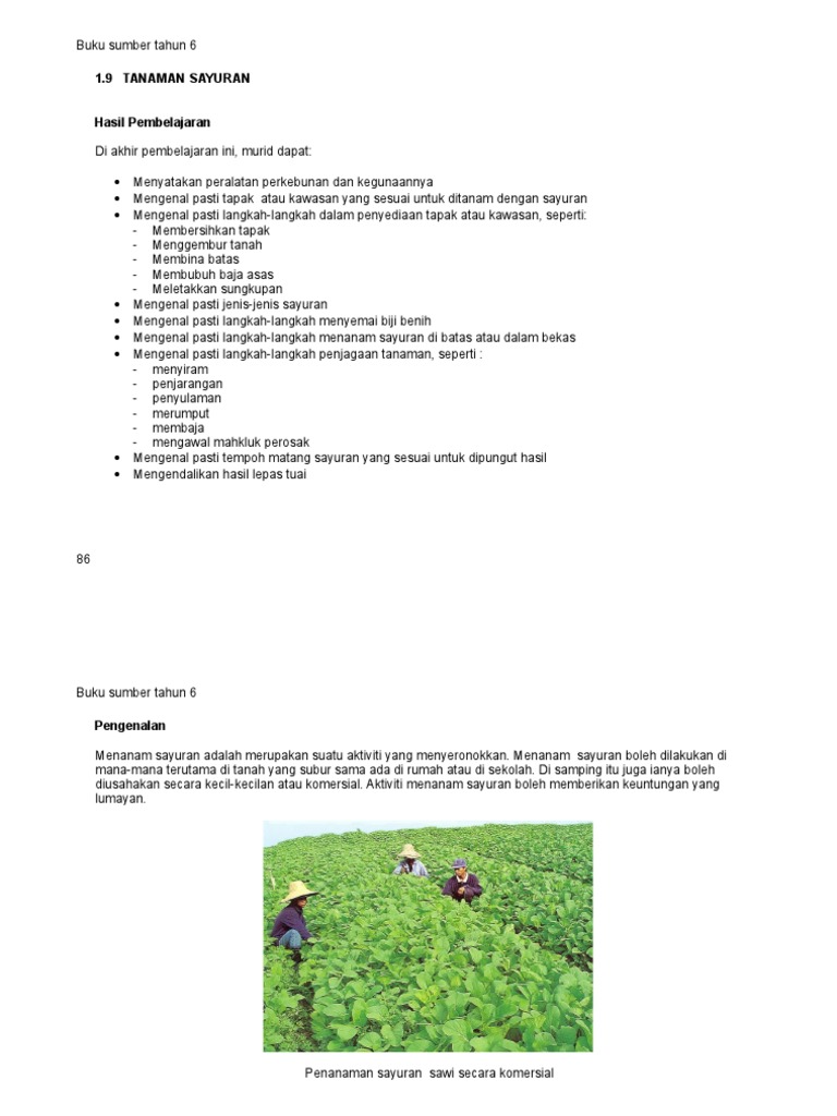 Lk1 Hidroponik Flip Ebook Pages 1 4 Anyflip Anyflip