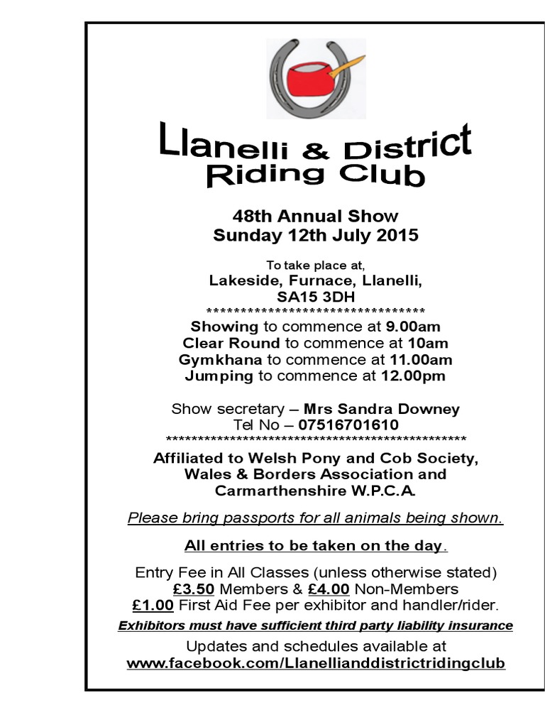 Llanelli and District Riding Club PDF Pony Mare