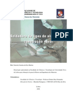 Martins 2008 PDF