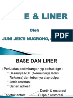 Base Dan Liners