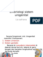 Embriologi Sistem Urogenital