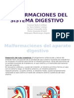 Malformaciones Del Sistema Digestivo