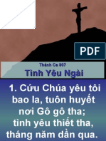 807 Tinh Yeu Ngai
