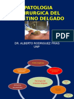 10. Patologia Quirurgica Del Intestino Delgado 2014