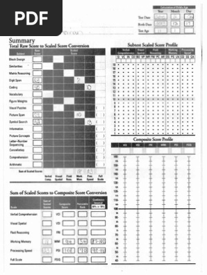 Wisc V DG | PDF