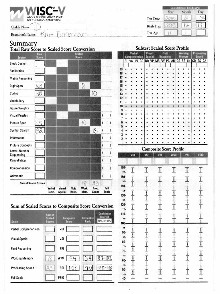 Wisc V DG | PDF