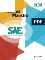 Manual SIE Maestros PDF