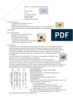 Resumo de Parasitologia