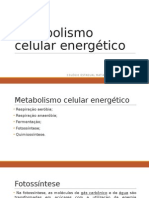 Metabolismo Celular Energético