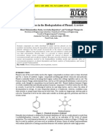 phenol pathway.pdf