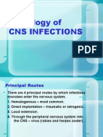 Pathology of CNS Infections: Principal Routes, Meningitis Types, Focal Infections