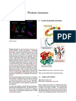 Protein Structure PDF