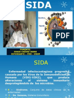 Sida en El Peru