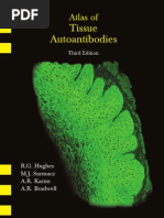 Download Autoantibodies by Mihai M SN260312007 doc pdf