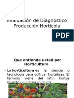 Evaluación de Diagnostico Producción Hortícola