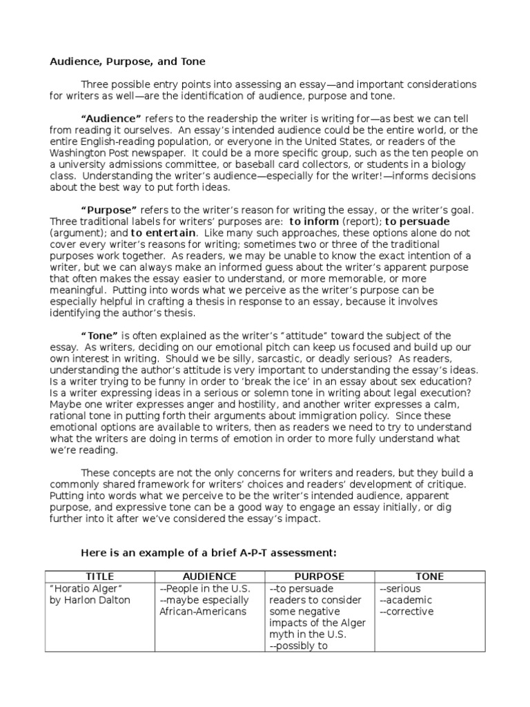 Purpose/audience definition picture