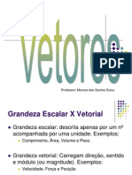 VetoresPitagoras_Portal_20140921151408.pdf