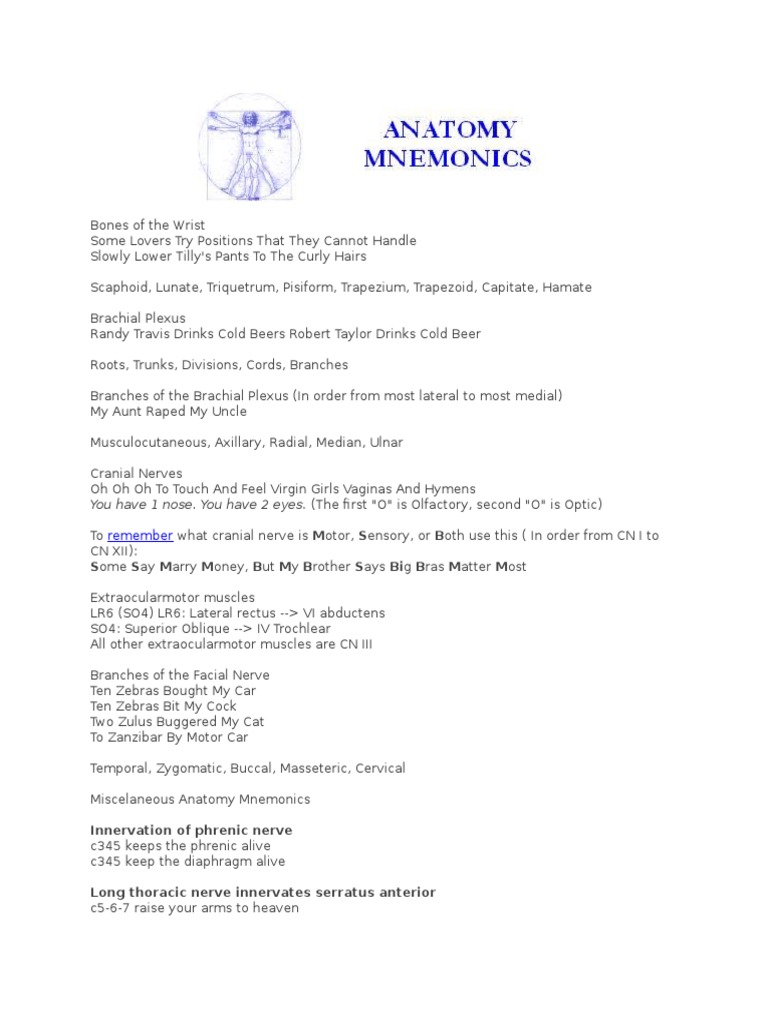 Anatomy Mnemonics Usmle Common Carotid Artery Aorta