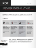 DocAve 6 SQL Server Data Manager