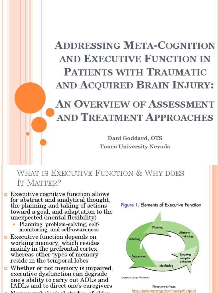 Cognitive Rehabilitation in Brain Injury | PDF | Executive Functions ...
