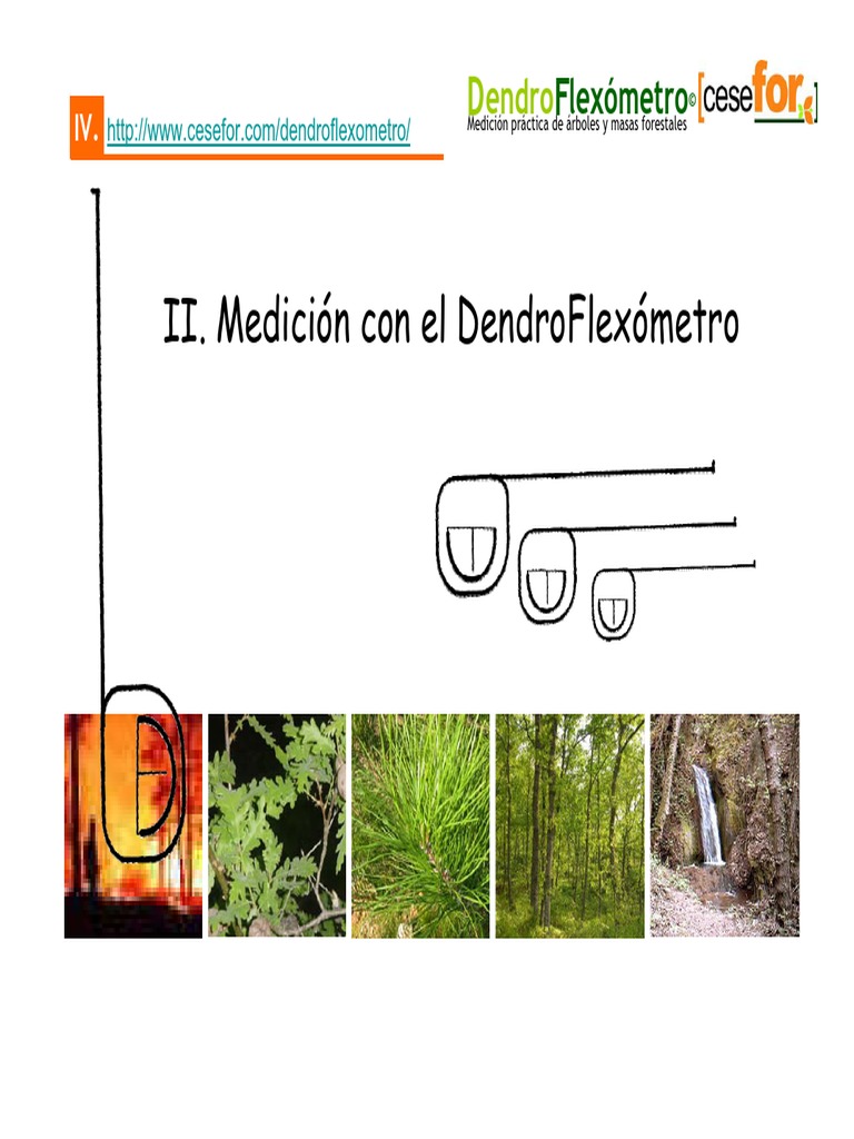 Dendroflexometro Manual, Principios y Plantillas | PDF | Longitud | Medición