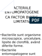 Bacteriile Entomopatogene