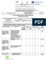 4.1CIUBOTARU Raport Individual Dez Prof Tipizat v2