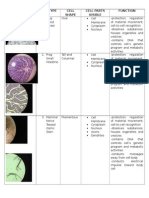 Cell Type Cell Shape Cell Parts Visible Function