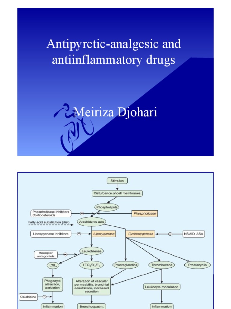 NSAIDs: Mechanisms and Effects | PDF | Nonsteroidal Anti Inflammatory ...