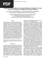 Deskripsi Anatomi of Dolphin