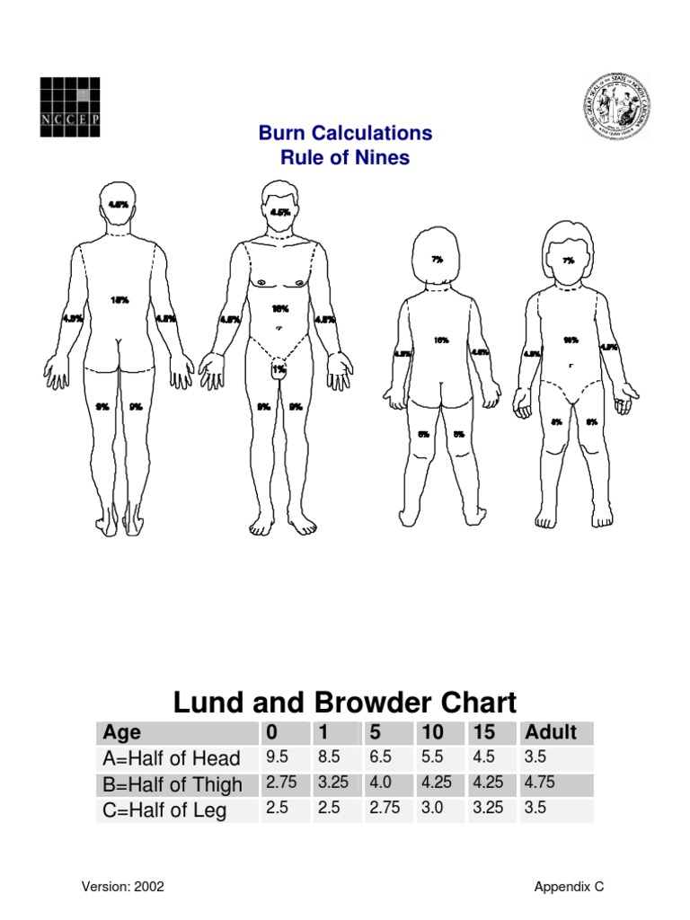 Burn Calculations Pdf