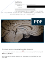 Ventricular system: topographic and endoscopic | 3D Neuroanatomy - medical atlas