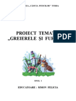 Proiecttematic Greierelesifurnica