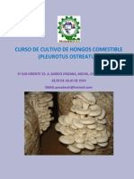 Curso de Cultivo de Hongos