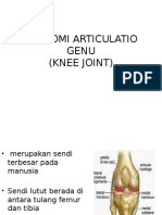 Anatomi Articulatio Genu Baru
