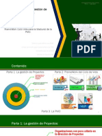 PMO Madurez Oficina Proyectos