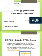 RT-PCR SYBR Green.pptx